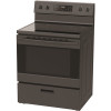 SEASONS 5.2 Cubic Ft. Freestanding Glass Top Electric Range Black