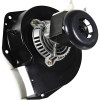 Packard Goodman Draft Inducer Replacement, 1/30 Hp, 115v, 3,000 Rpm, 1.5 Amps