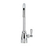 Zurn Lab Gsneck Faucet W/0.5 GPM Pressure-Comp Spray 5 3/8 Spout / Lever Handle