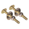 ProPlus 1/4 In X 2-1/4 In Round Toilet Bolt, Brass Plated Package Of 2