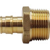 Apollo 1/2 Brass Pex-A Expansion Barb X 3/4 Mnpt Male Adapter