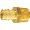 Apollo Pex-A Barb Mnpt Male Adapter, 1/2" X 1/2", Brass