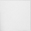 Armstrong Ceilings Cirrus Humiguard 2' X 2' Tegular Ceiling Tile Case Of 12