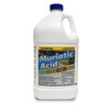 Champion 1 Gallon Muriatic Acid Case Of 2 358380
