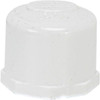 Proplus PVC Threaded Pipe Cap, 3/4 In