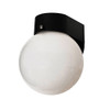 Outdoor Porch Fixture, Black Lexan Housing, 6" White Acrylic Globe