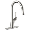 Seasons Westwind Single-Handle Pull Down Kitchen Faucet, Stainless Steel 211806