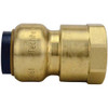 Tectite 1/2" Brass Push-To-connect X Female Pipe Thread Adapter