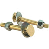 ProPlus 5/16 In. X 2-1/4 In. Oval Toilet Bolt, Brass Plated Package Of 2