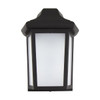 Liteco 10-Watt Black Integrated Led Outdoor Wall Mount Lantern 4000k