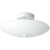 Satco Sf77/823 12 In. Incandescent Semi-Flush Mount Light