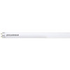Sylvania 15 W Cool White Equivalent T8 Linear Fluorescent Light Bulb