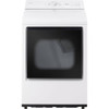 LG 7.3-Cu. Ft. Ultra Large Capacity Smart Gas Dryer In White DLG8201W