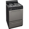 Premier 24 In. 2.9 cu. ft. 4 Burner Electric Freestanding Coil Range, Manual Clean, Stainless Steel/Black, ADA