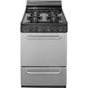 Premier 24 In. 2.97 Cu. Ft. Freestanding Sealed Burner Gas Range In Stainless Steel