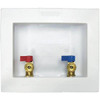 Ips Washing Machine Outlet Box With 1/2 In Cpvc