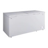 Conservator 25 cu. ft. Chest Freezer In White