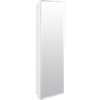 American Pride 12 X 36 In. Recessed Mount Medicine Cabinet