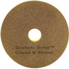 3m 13 In. Scotch-Brite Clean And Shine Pad, Case Of 5