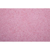 Square Scrub 20 In. Sse Pad, Case Of 5