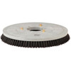 Tennant Company 20 In. Disk Polypropylene Brush