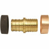 Apollo Pex-B Barb, 3/4", Brass, Polybutylene Coupling