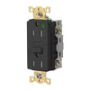 Hubbell Wiring Autoguard 15a 125v Heavy Duty Com Hosp Tr/Wr Gfci Recp Black