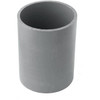 Carlon 2 In. PVC Standard Fitting
