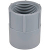Carlon PVC Female Adapter, 2"