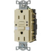 Hubbell 15 Amp 125 Volt Self-Test Gfci W/ Night Light (Ivory)