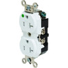 Hubbell 20 Amp 125 Volt Hospital-Grade Duplex Standard Outlet (White)
