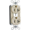 Legrand Plugtail 20 Amp Single Pole Duplex Outlet (Ivory)