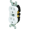 Hubbell-Pro 15 Amp 125 Volt Self Grounding Duplex Standard Outlet (White)