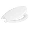 Centoco Plastic Toilet Seat For Elongated Bowl Features Lift & Clean, In White