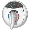 Symmons Safetymix/Visu-Temp Trim In Chrome