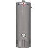 Rheem Professional Classic 50 Gal. Tall 6-Year 38k BTU Ultra-Low-Nox Natural Gas Tank Water Heater