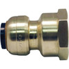 Tectite 1/2 Brass Push-To-Connect X 3/4 In Female Pipe Thread Reducing Adapter