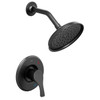 Cleveland Faucet Group Ash Matte Black Cycling Shower Only