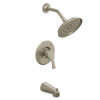 Cleveland Faucet Group Ash Brushed Nickel Cycling Tub/Shower