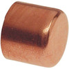 Everbilt 1/2 In. X 1/2 In. Wrot Copper Tube Cap PRO Pack , Package Of 50