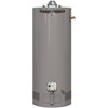 Rheem Performance Platinum 40 Gal. 38k BTU Short Natural Gas Tank Water Heater