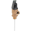 Cash Acme 3/4 In. Mip Commercial T&p Relief Valve