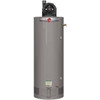 Rheem Professional Classic Plus Heavy Duty 75 Gal. Tall 8-Year 75.1k BTU Natural Gas Tank Water Heater With Power Vent