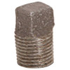 ProPlus 2 In. Black Malleable Plug