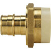 Apollo 3/4 In. Brass PEX-A Barb X 3/4 In. Schedule 40 PVC Straight Adapter