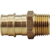 Apollo 1", Brass, PEX-A Expansion Barb X 3/4", Mnpt Reducing Male Adapter
