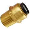 Tectite 1/2 In. Brass Push-To-Connect X Male Pipe Thread Adapter PRO Pack (6-Pack)
