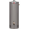 Rheem Professional Classic 40 Gal. Tall 6-Year 32k BTU Atmospheric  Liquid Propane Gas Tank Water Heater