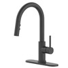 Seasons Westwind Single-Handle Pull Down Kitchen Faucet Matte Black
