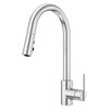 Pfister Brislin Pull-Down Kitchen Faucet In Polished Chrome